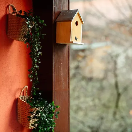 & Garden With Stunning View Apartment *